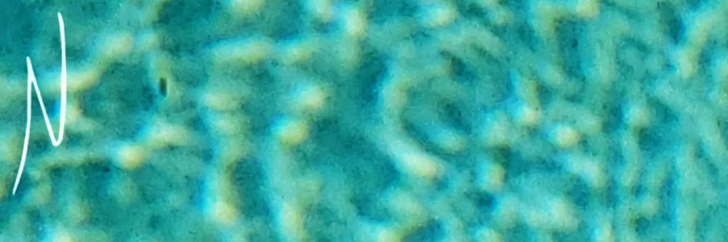 Matthew McGilvery (Nctrnm) banner