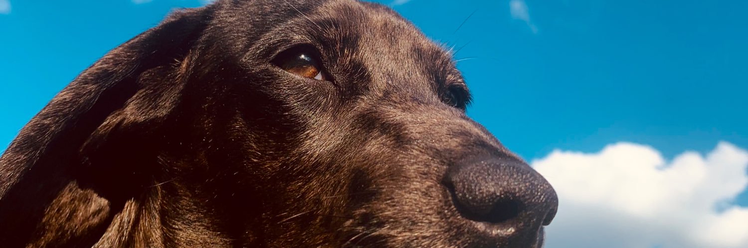 amburjames's profile banner image