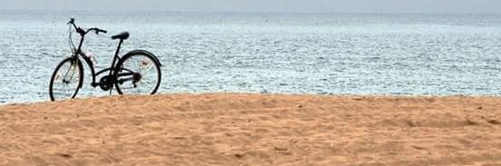 Sóc la Mabel banner