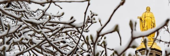 AideenShea09's profile banner image