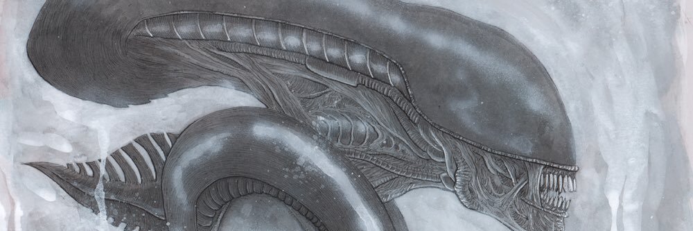 hubertbadger's profile banner image