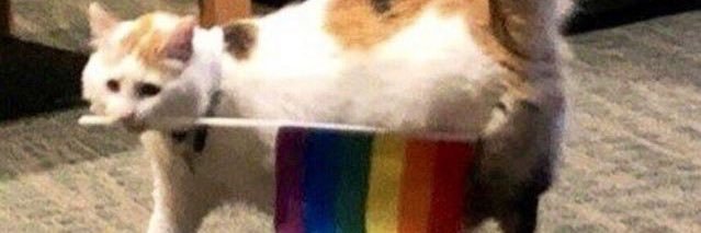 _carmijo's profile banner image