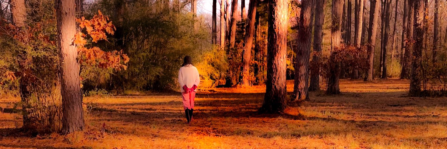 lisadoss's profile banner image