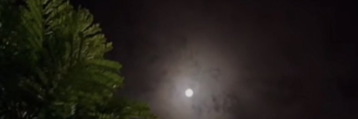 dodemomo25's profile banner image