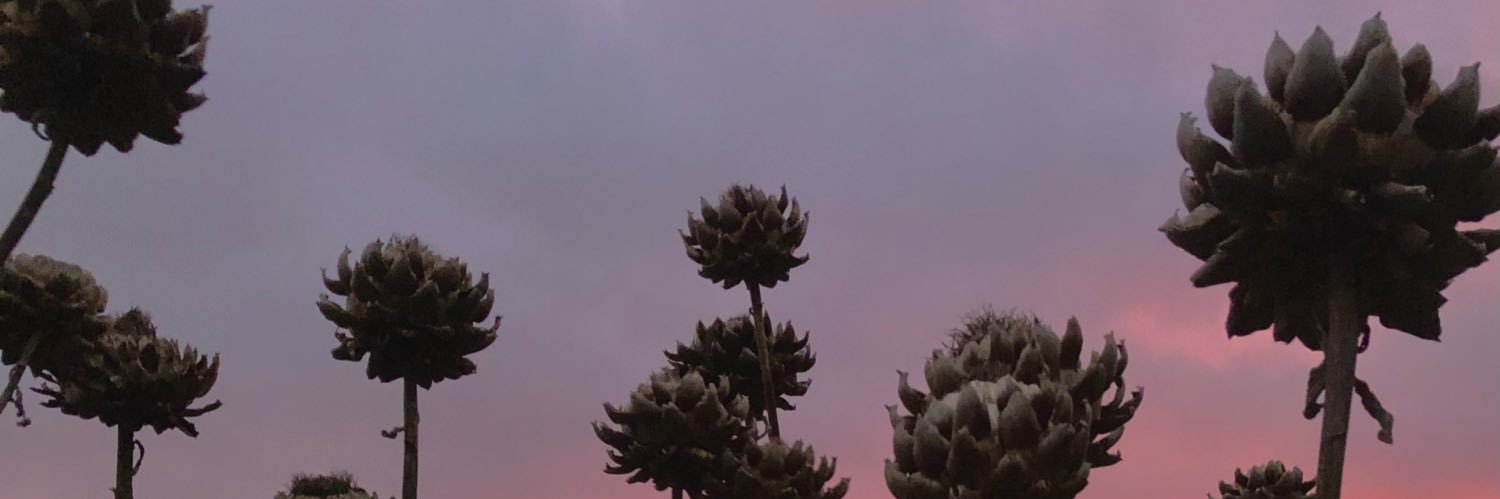 JillJillarnold3's profile banner image