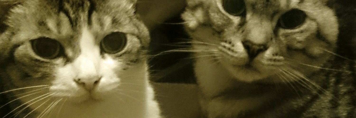 chrtanaka's profile banner image