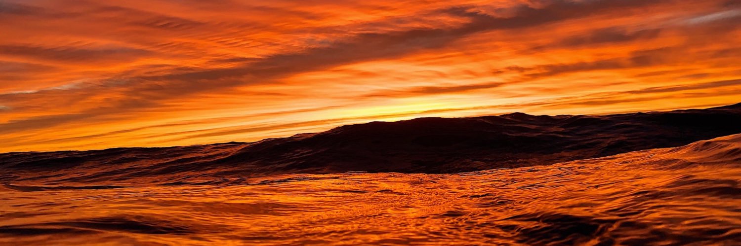 leighpolsonn's profile banner image