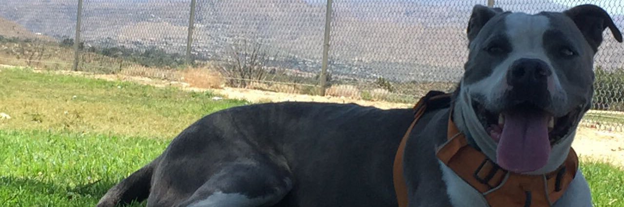 julz_je's profile banner image