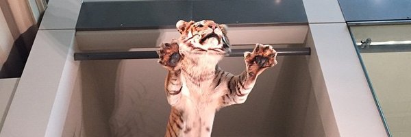 LukeOeth Profile Banner