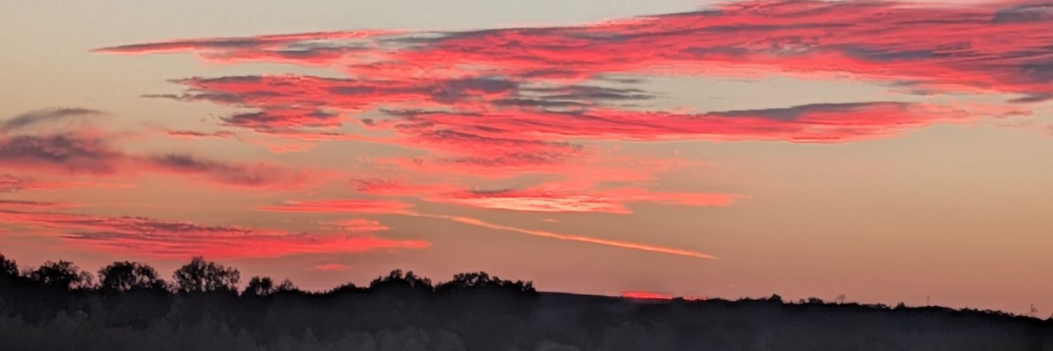whfick's profile banner image