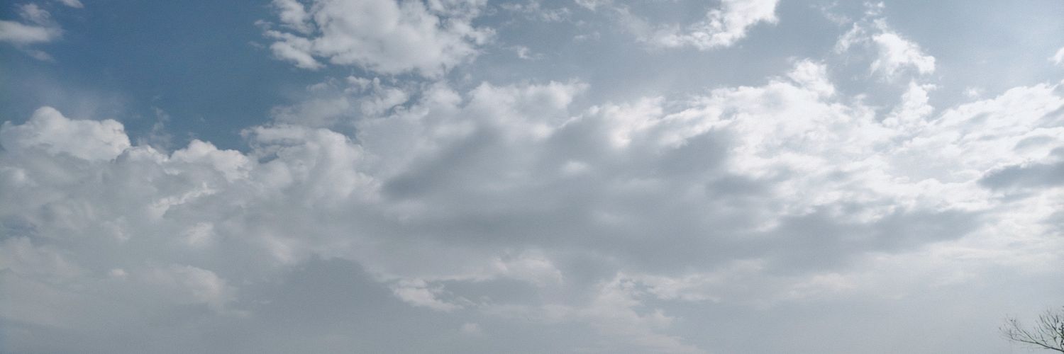 Shooky_mew's profile banner image
