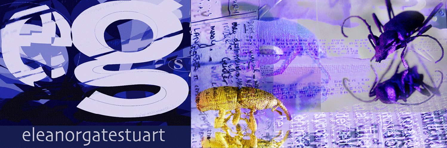 egatestuart's profile banner image