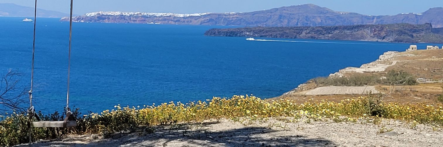 Dom pas pérignon banner