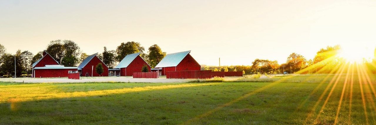 OLSONAUCTION's profile banner image
