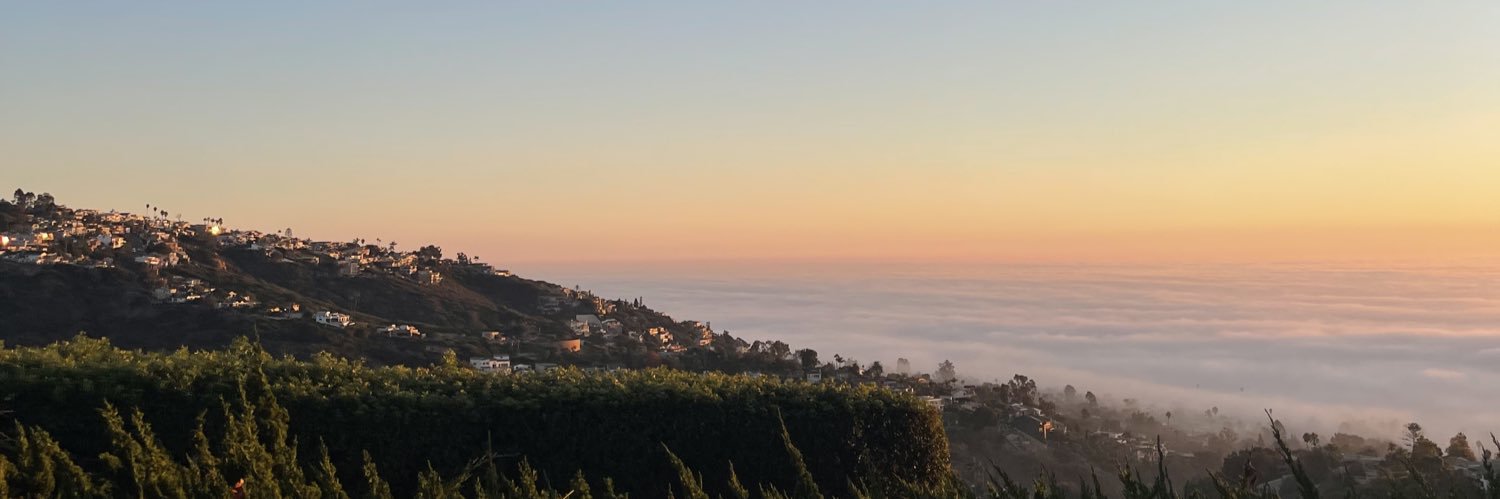 Hillary Beall banner