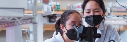 Julia Apiki 🪰🧬🔬 banner