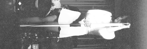 umapiveta's profile banner image
