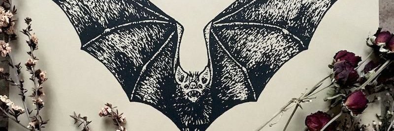 FliipM's profile banner image
