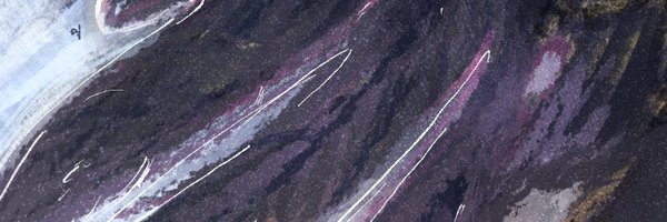 PolloniumWhy Profile Banner