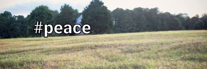 ui_19s's profile banner image