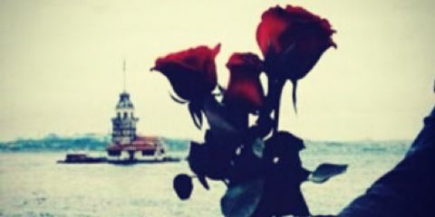 memo400200's profile banner image