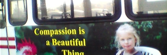 EventsVeg's profile banner image