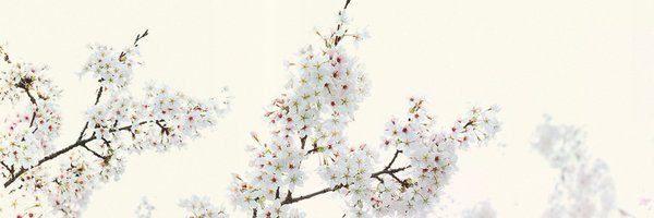 scubling Profile Banner