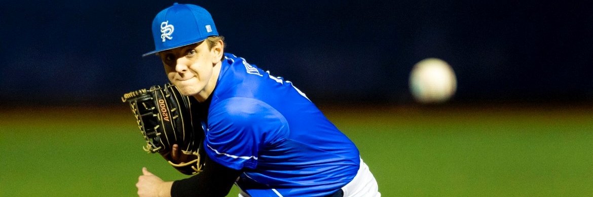 Henry Chronik banner