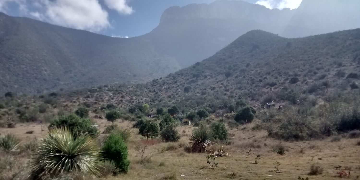 Olga Rumayor Rdz banner