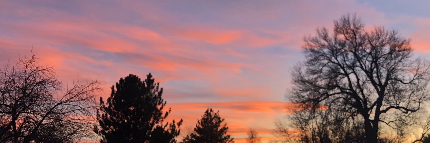sassysun's profile banner image