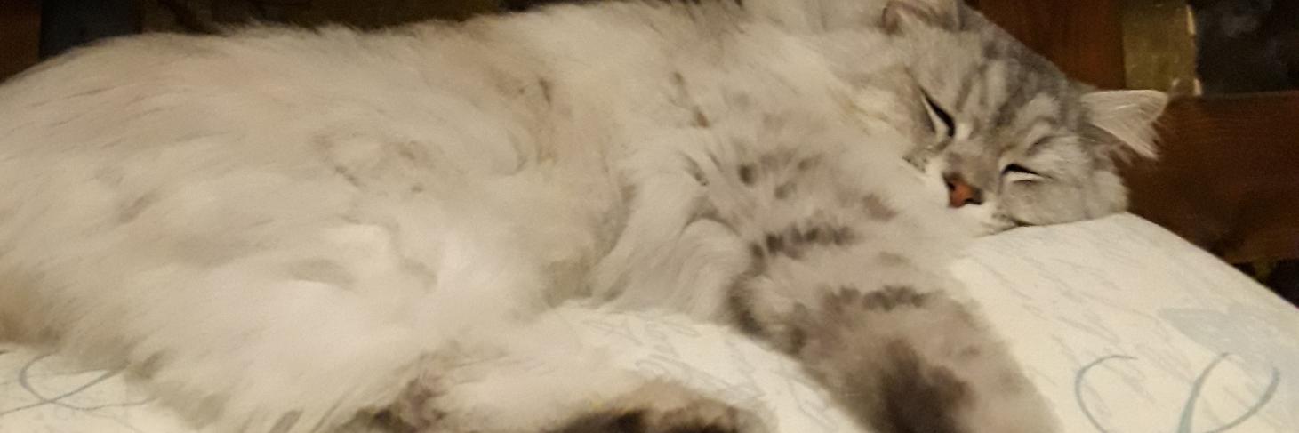 winnie1921's profile banner image