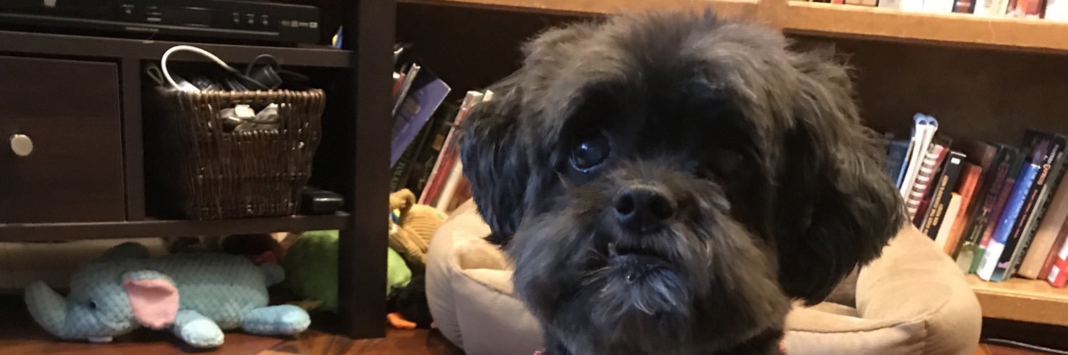 libbycooperr's profile banner image