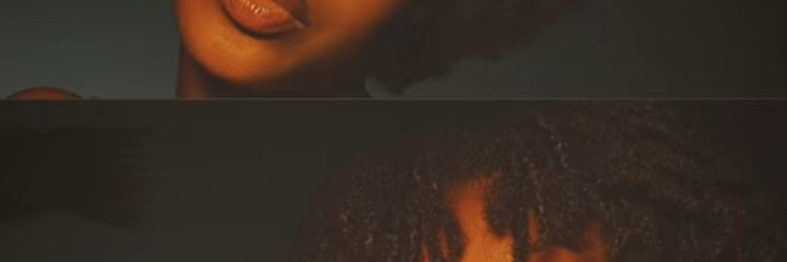 ╬risha 🕊️🐦's banner