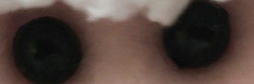 betteisboyfrien's profile banner image