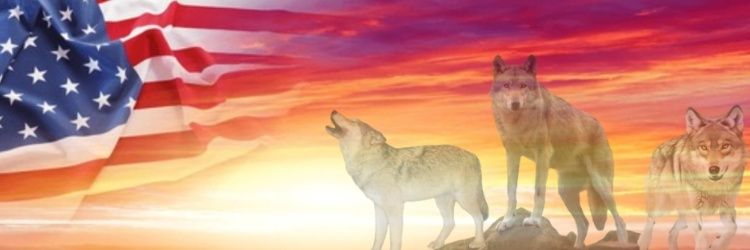 Sigma Wolf Patriot banner