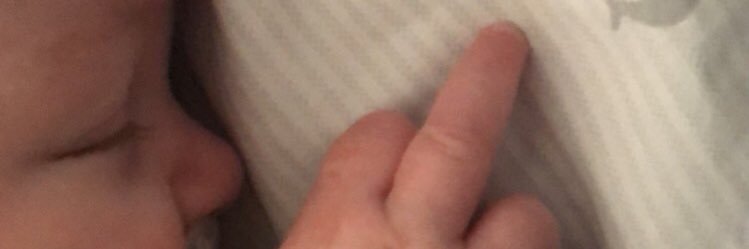 dani_a_17's profile banner image