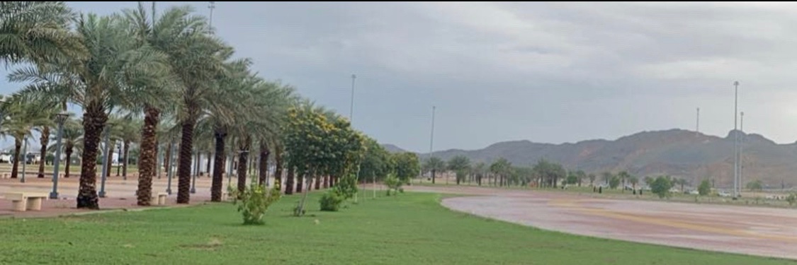 رآآقيه الحررف banner