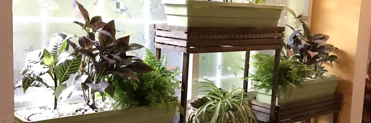 AceDann's profile banner image