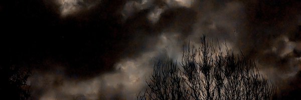 MagdalenGhost Profile Banner