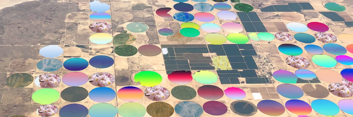 Sara Cahill Marron, J.D., M.A. banner