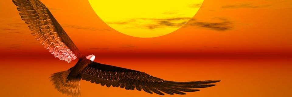 HamdiSamehEG's profile banner image