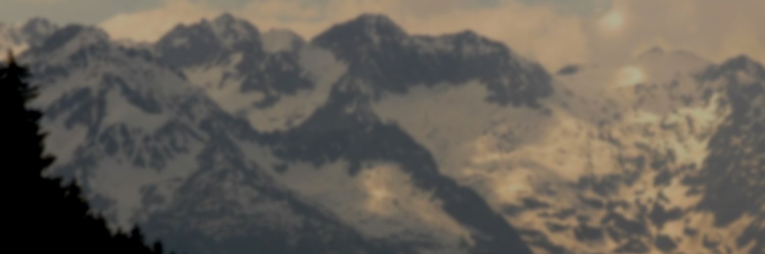 Gravity Falls Fan Projects banner