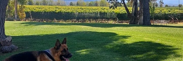 Garay_Maca's profile banner image