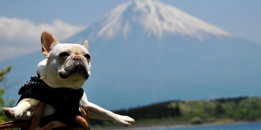 wanwanwan2000's profile banner image