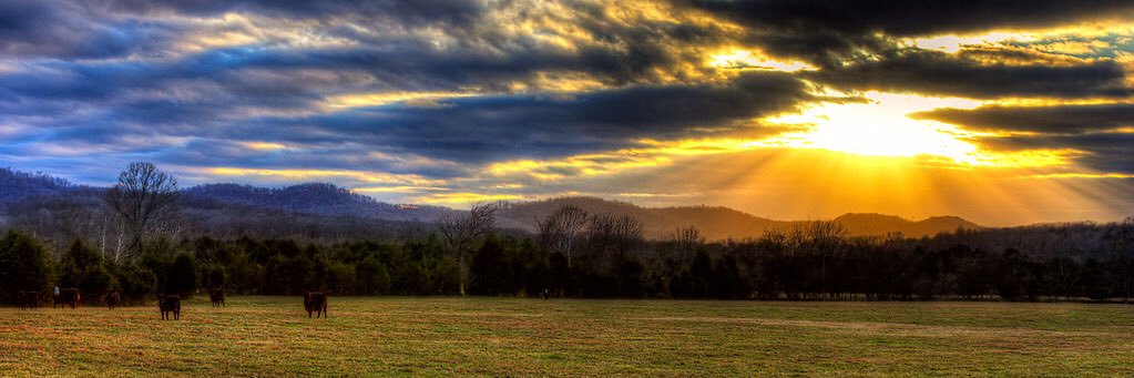 willharbinwx's profile banner image
