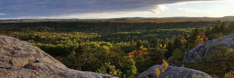 SmithPricilla's profile banner image