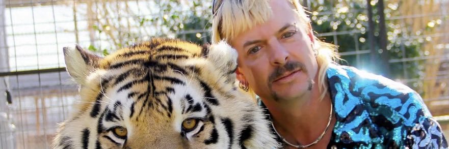 Reese_Olson1's profile banner image