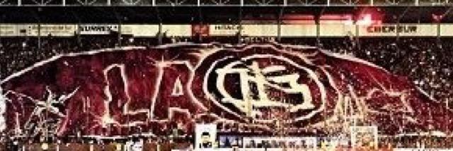 Adrocastrovinci's profile banner image