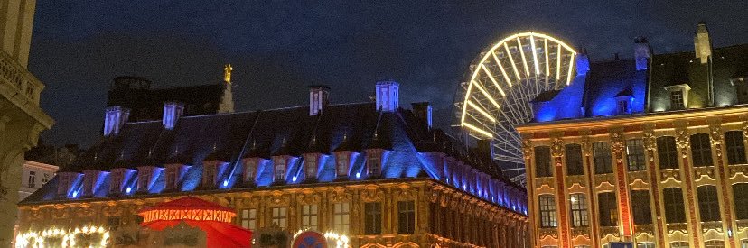 🇵🇸🐓🐓🇺🇦 banner