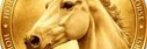 baobeimabi's profile banner image
